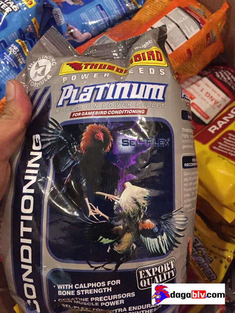 Cám gà đá Platinum Cám gà đá Platinum