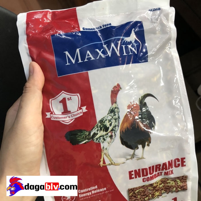 Cám gà đá Maxwin Cám gà đá Maxwin