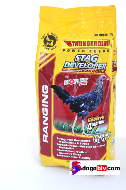 Stag Developer 1+ Stag Developer 1+