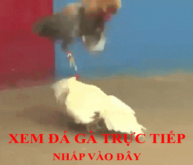 da-ga-dong-gif