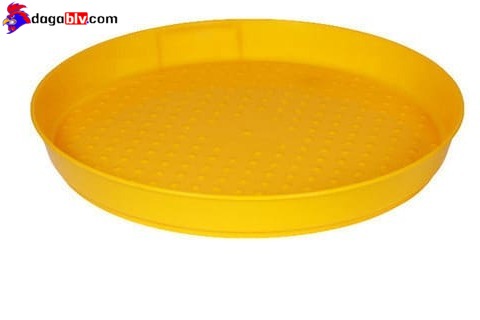 Máng ăn cho gà con từ 1 đến 2 tháng tuổi