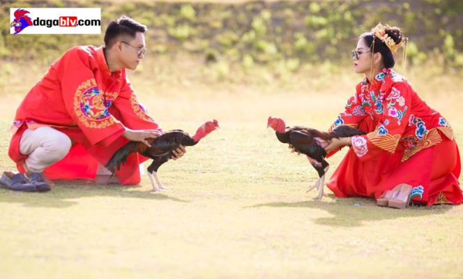 Kinh nghiệm chơi đá gà