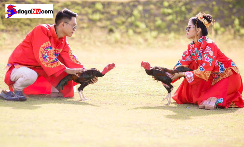 Kinh nghiệm chơi đá gà Kinh nghiệm chơi đá gà