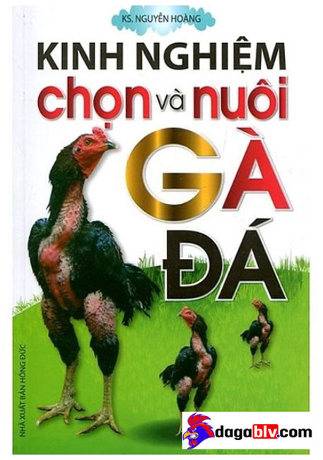 Tìm Hiểu Về Sách Coi Vảy Gà Đá Hay Và Chuẩn Xác Nhất Hiện Nay 1 Tìm Hiểu Về Sách Coi Vảy Gà Đá Hay Và Chuẩn Xác Nhất Hiện Nay Kinh Nghiệm Chọn Và Nuôi Gà Đá