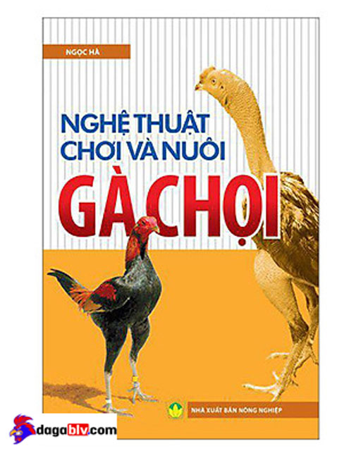 Tìm Hiểu Về Sách Coi Vảy Gà Đá Hay Và Chuẩn Xác Nhất Hiện Nay 2 Tìm Hiểu Về Sách Coi Vảy Gà Đá Hay Và Chuẩn Xác Nhất Hiện Nay Nghệ Thuật Chơi Và Nuôi Gà Chọi