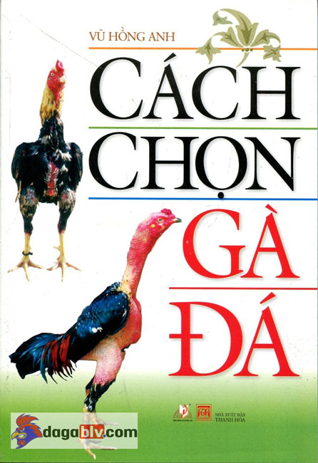 Tìm Hiểu Về Sách Coi Vảy Gà Đá Hay Và Chuẩn Xác Nhất Hiện Nay 3 Tìm Hiểu Về Sách Coi Vảy Gà Đá Hay Và Chuẩn Xác Nhất Hiện Nay Cách Chọn Gà Đá