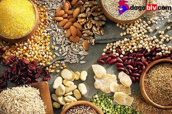 Cho vẹt ăn gì tốt nhất? Cách chăm sóc vẹt khỏe mạnh 8 Cho vẹt ăn gì tốt nhất? Cách chăm sóc vẹt khỏe mạnh Thức ăn cho vẹt trưởng thành