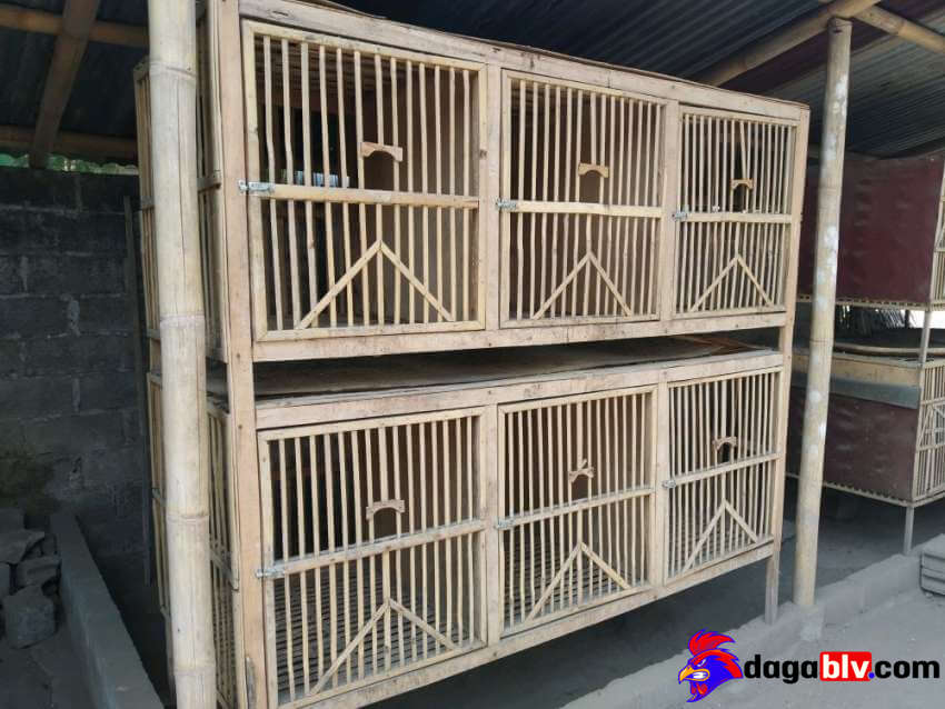 Tìm Hiểu Cách Làm Chuồng Gà Bằng Tre Cực Kỳ Đơn Giản Mà Hiệu Quả 3 Tìm Hiểu Cách Làm Chuồng Gà Bằng Tre Cực Kỳ Đơn Giản Mà Hiệu Quả ưu điểm, nhược điểm khi làm chuồng gà bằng tre