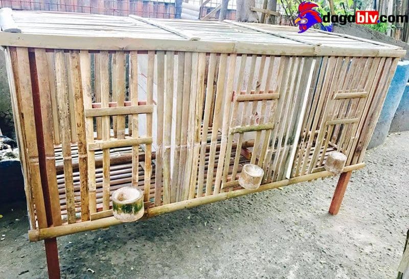 Tìm Hiểu Cách Làm Chuồng Gà Bằng Tre Cực Kỳ Đơn Giản Mà Hiệu Quả 2 Tìm Hiểu Cách Làm Chuồng Gà Bằng Tre Cực Kỳ Đơn Giản Mà Hiệu Quả Cách làm chuồng gà bằng tre