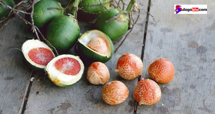 Hạt cau Hạt cau