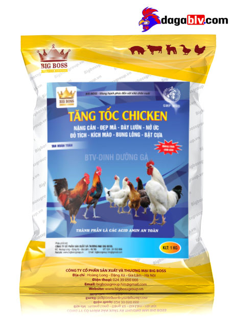 Có nên sử dụng thuốc tăng trưởng cho gà hay không? 3 Có nên sử dụng thuốc tăng trưởng cho gà hay không? Tăng tốc Chicken