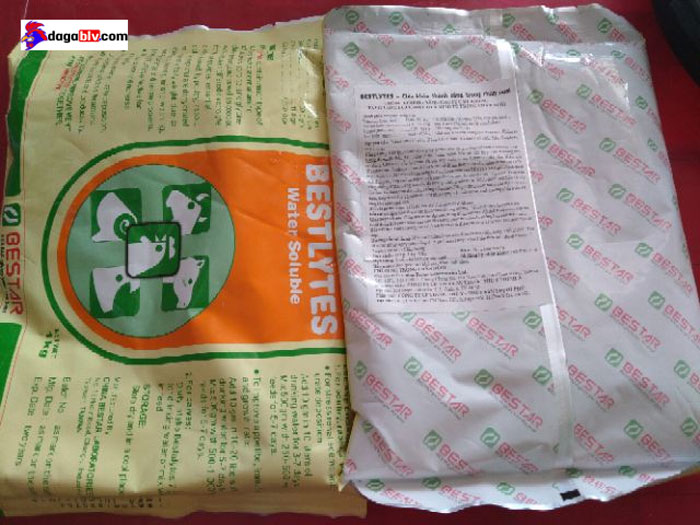 Có nên sử dụng thuốc tăng trưởng cho gà hay không? 7 Có nên sử dụng thuốc tăng trưởng cho gà hay không? BESTLYTES