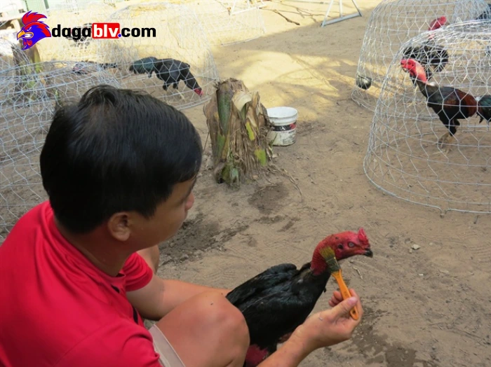 Cân bằng giữa việc tập luyện và nghỉ ngơi