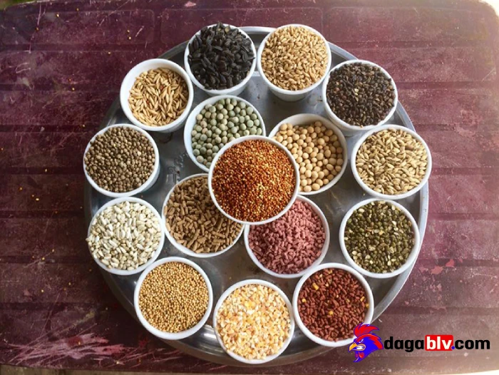 Tác dụng của trộn ngũ cốc cho gà đối với sức khỏe