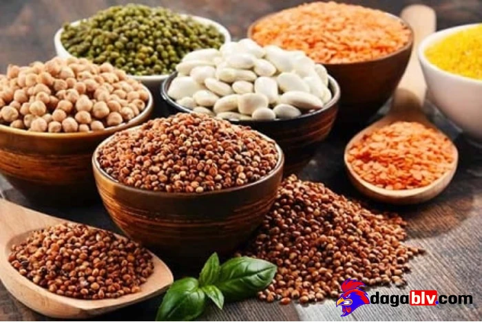 Lợi ích của việc trộn ngũ cốc cho gà