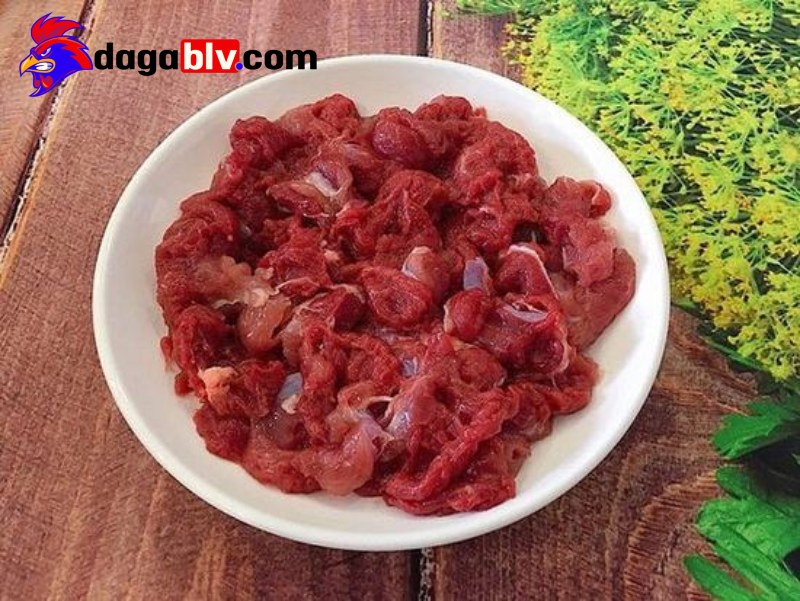 Cách vô mồi cho gà đá bằng lươn
