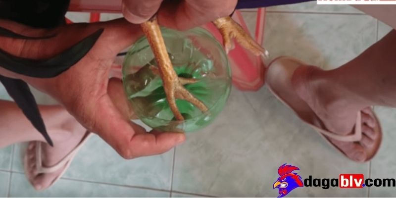 Phương pháp điều trị bằng vôi và mật ong hiệu quả tại nhà