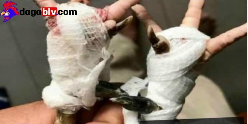 Hoàn thiện quá trình băng bó