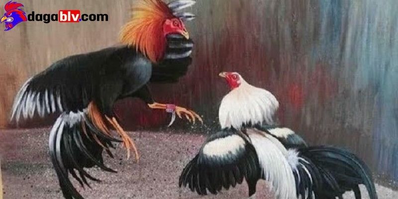 Tại sao đá gà trên mạng luôn thua và những điều nên biết dành cho người mới 7 Tại sao đá gà trên mạng luôn thua và những điều nên biết dành cho người mới Những điều cần biết để tránh đá gà trực tuyến luôn thua