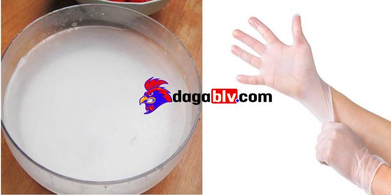 cho ga uong nuoc voi trong hoa tan nguyen lieu