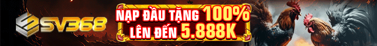 Đà Gà Bình Luận Viên 42 Đà Gà Bình Luận Viên banner-da-ga-truc-tiep-thomo